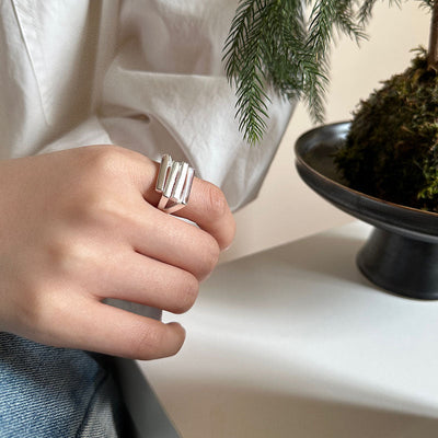 Verstellbarer Vierfachschritt-Ring